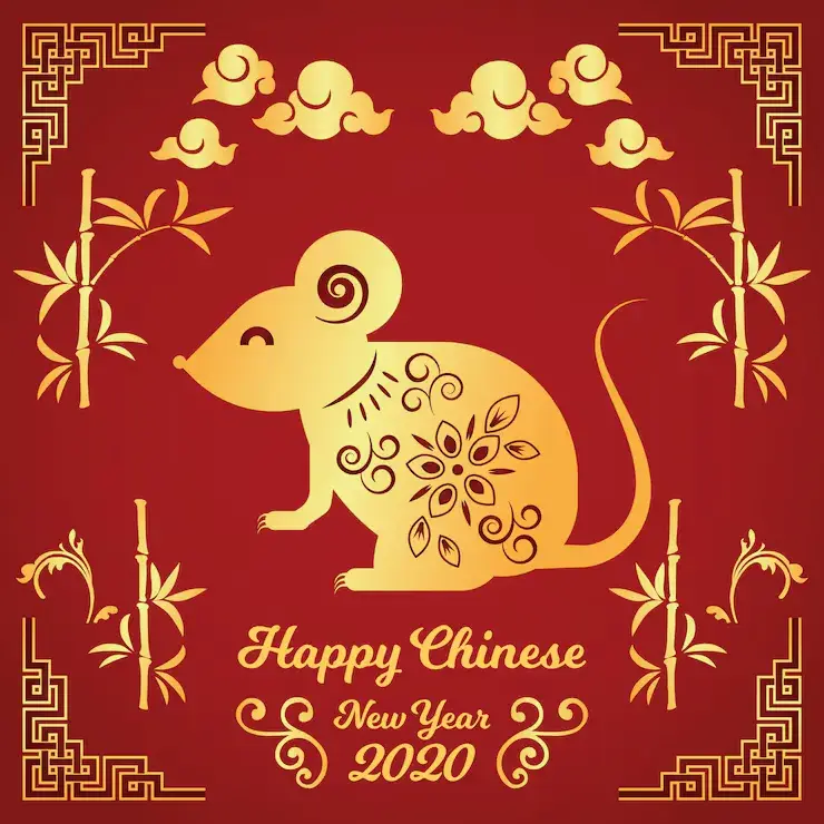 “五福临门”直指精准最佳一肖，经典词语透彻解析