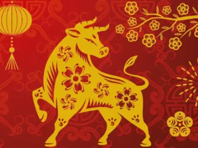 灵机一动打一猜是什么生肖,词语释义解释落实