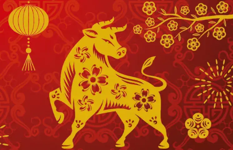 灵机一动打一猜是什么生肖,词语释义解释落实